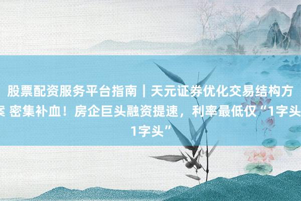 股票配资服务平台指南｜天元证券优化交易结构方案 密集补血！房企巨头融资提速，利率最低仅“1字头”