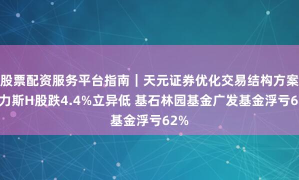股票配资服务平台指南｜天元证券优化交易结构方案 赛力斯H股跌4.4%立异低 基石林园基金广发基金浮亏62%