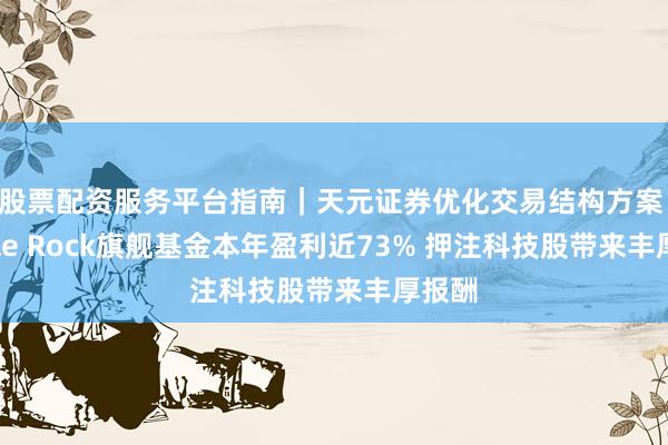 股票配资服务平台指南｜天元证券优化交易结构方案 Whale Rock旗舰基金本年盈利近73% 押注科技股带来丰厚报酬