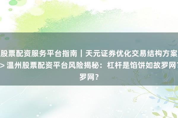 股票配资服务平台指南｜天元证券优化交易结构方案 > 温州股票配资平台风险揭秘：杠杆是馅饼如故罗网？